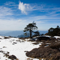 轿子雪山