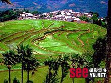 红河县甲寅乡梯田
