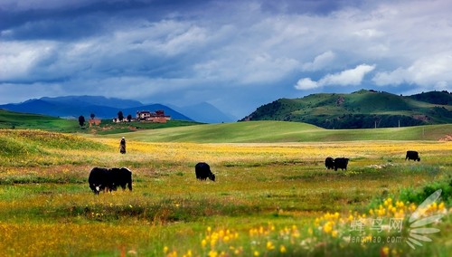 稻城-亚丁绝美秋色摄影详细攻略