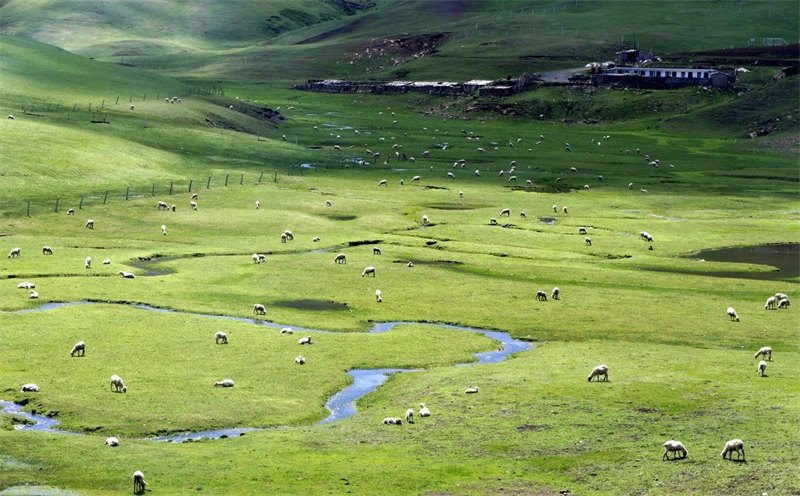 dongchuan