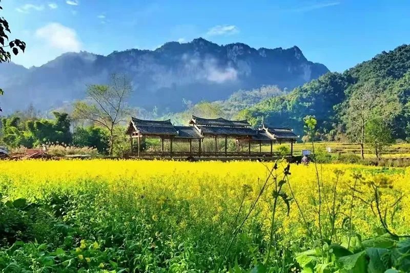 坝美 · 花田廊桥田园