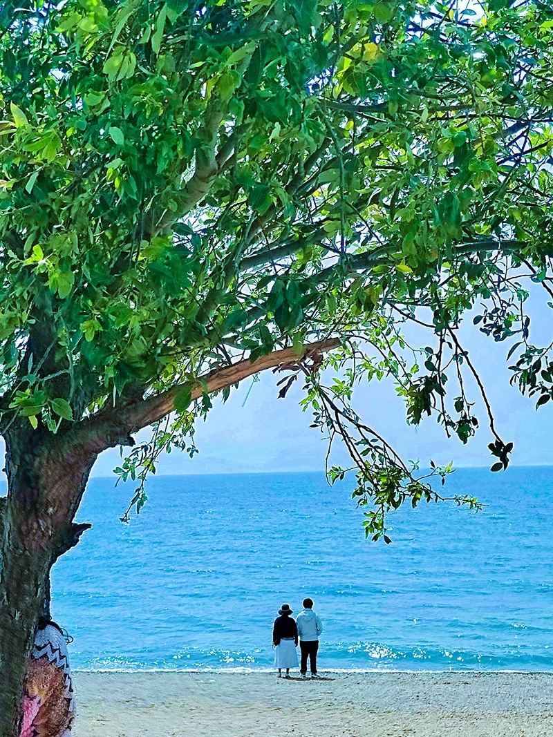抚仙湖 · 湖畔沙滩