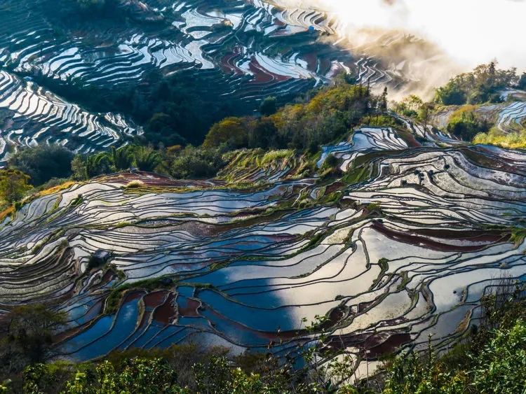 元阳梯田 · 蓝色水镜