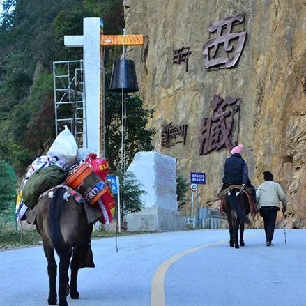 滇藏界 · 崖壁刻字与驮马