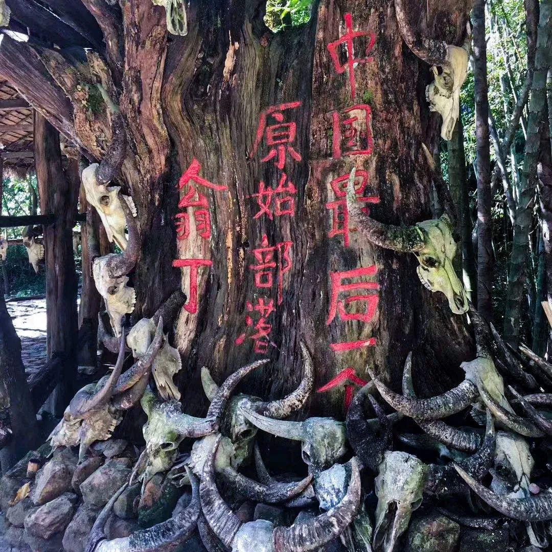 翁丁 · 神林牛头图腾