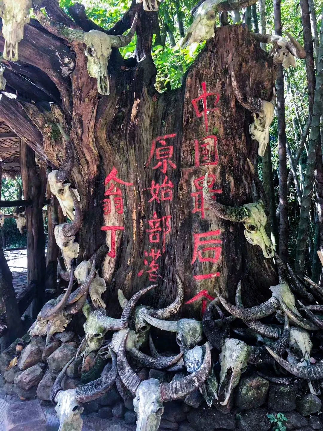 龙摩爷 · 牛头祭祀圣地