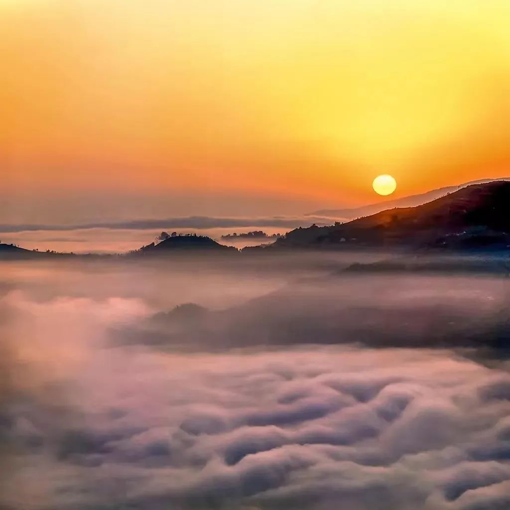 哀牢山 · 云海日出