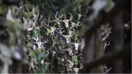 龙摩爷 · 牛头骨墙