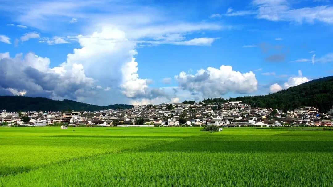 和顺古镇 · 田园风光