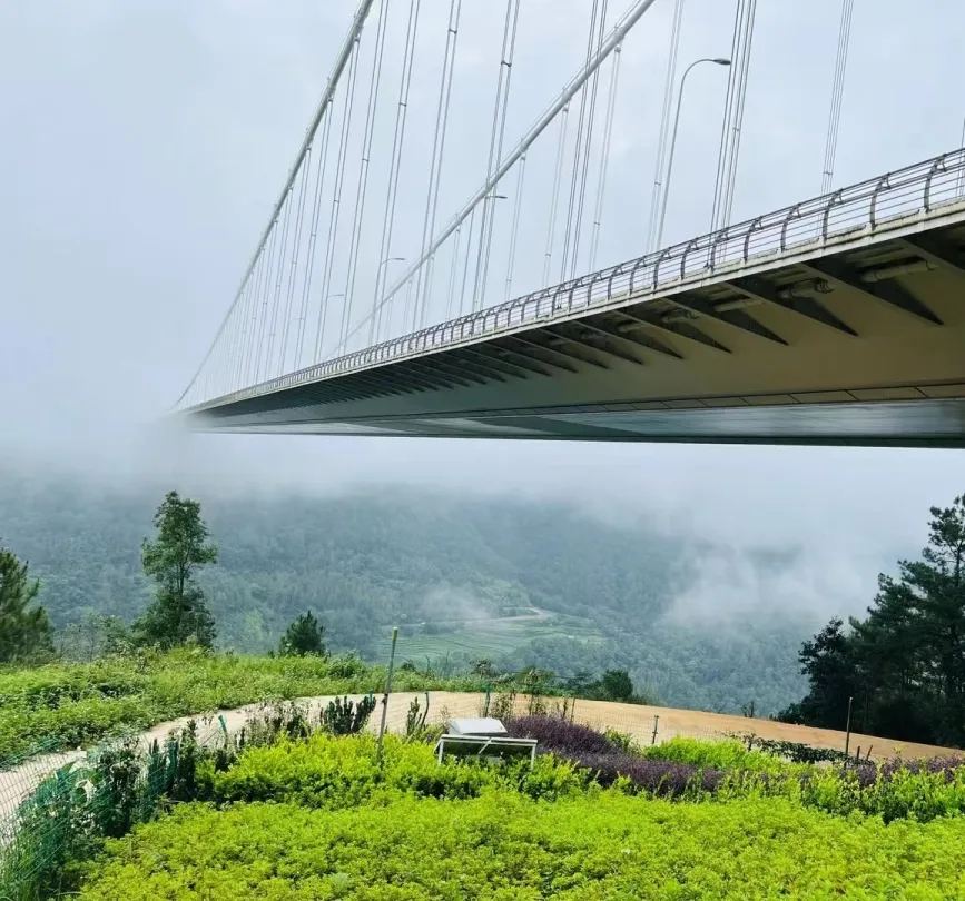 龙江特大桥 · 穿行云海