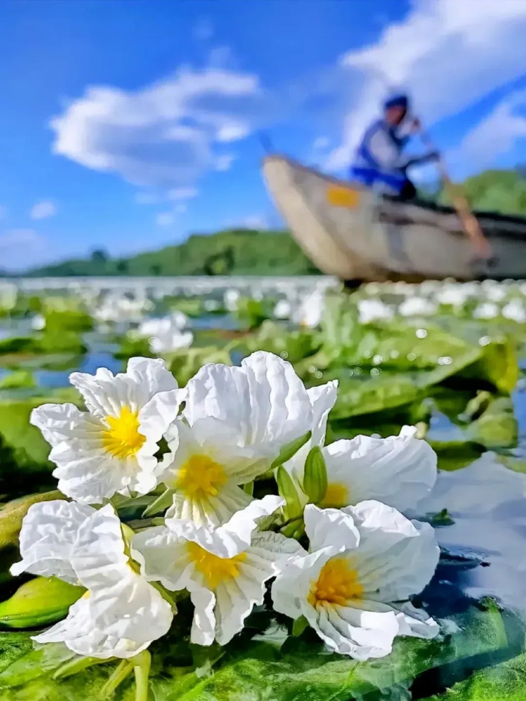 泸沽湖 · 水性杨花