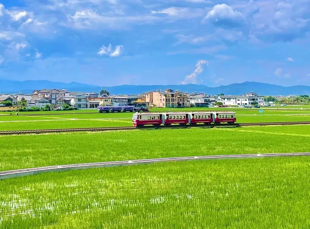 喜洲 · 稻田小火车
