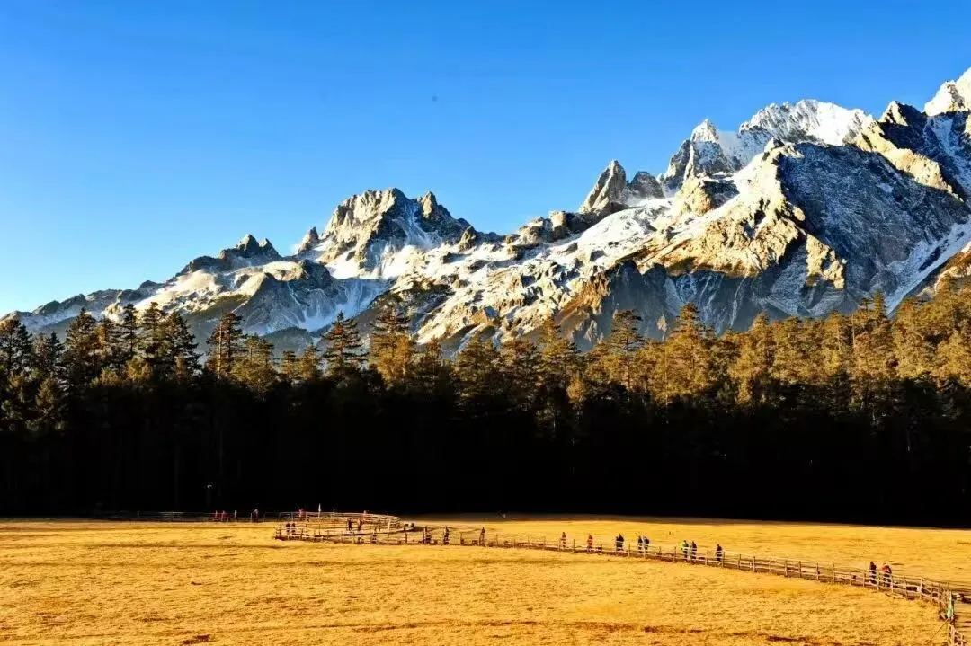 玉龙雪山 · 牦牛坪