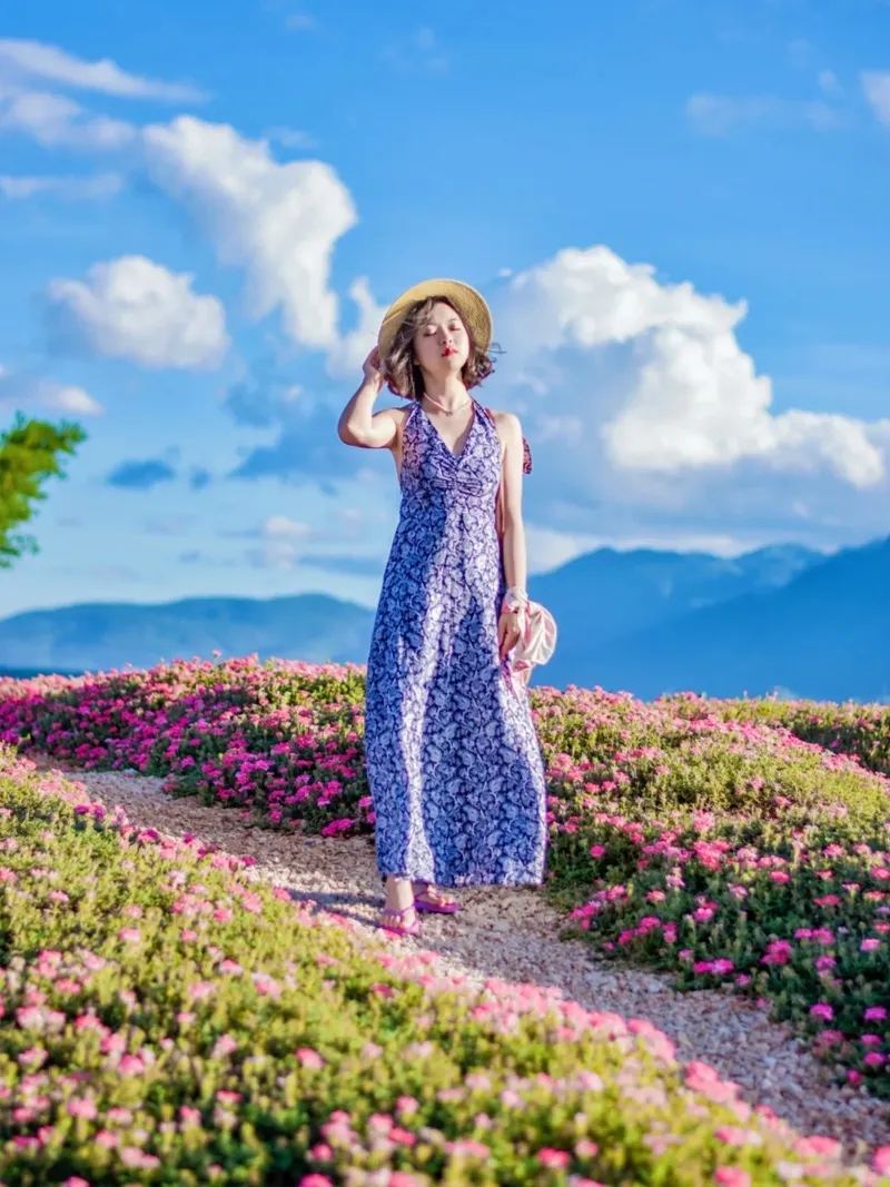 抚仙湖 · 湖畔花海