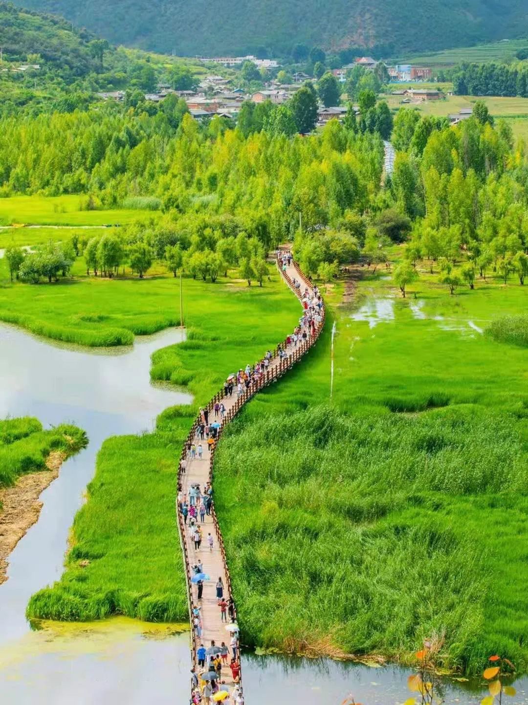 走婚桥 · 草海