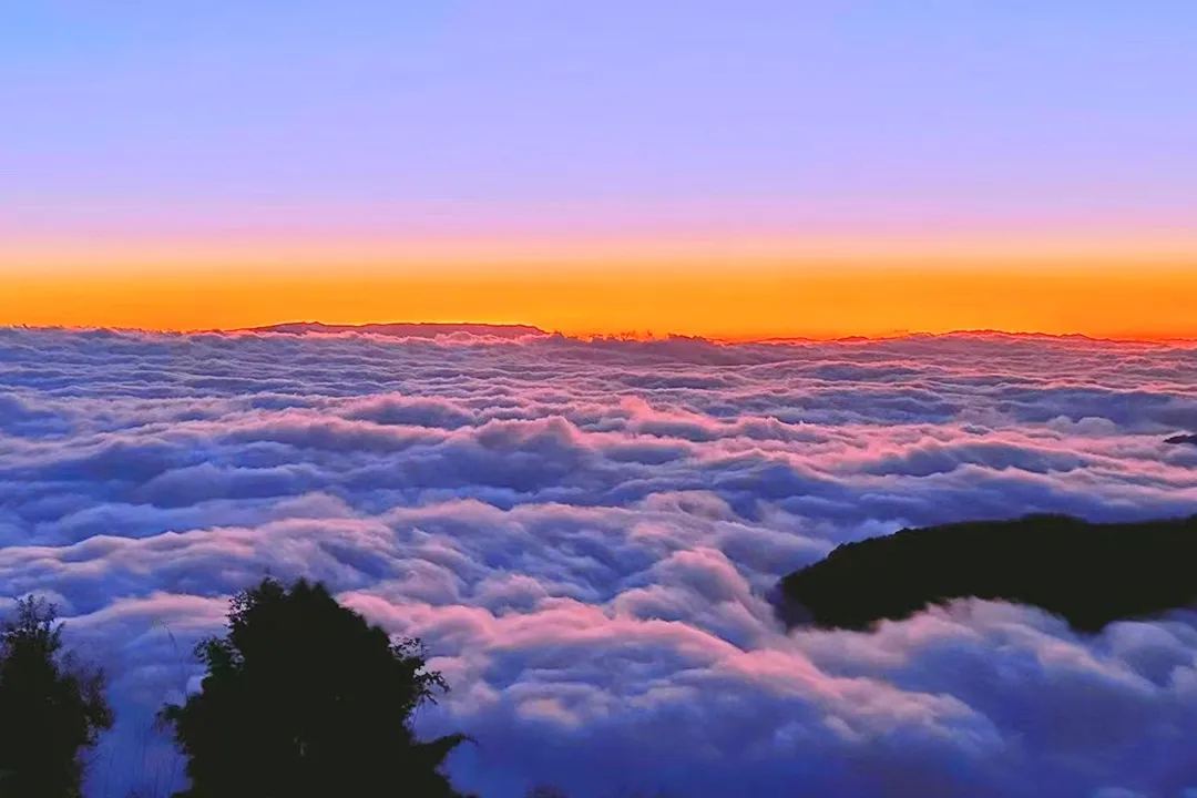 哀牢山 · 云海朝霞