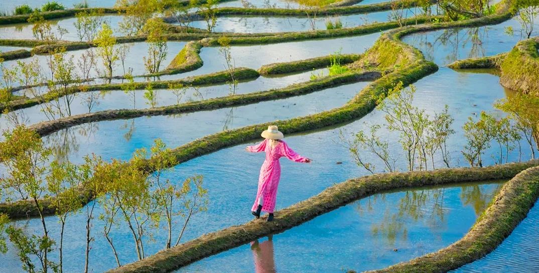 爱春 · 蓝色梯田