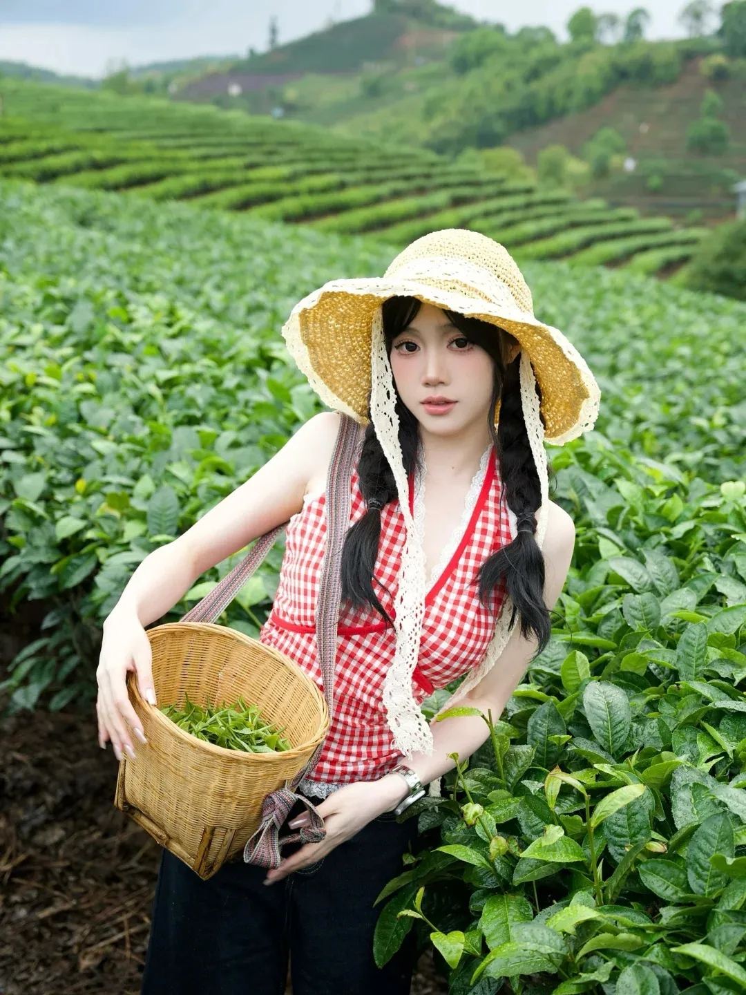 普洱 · 采茶体验