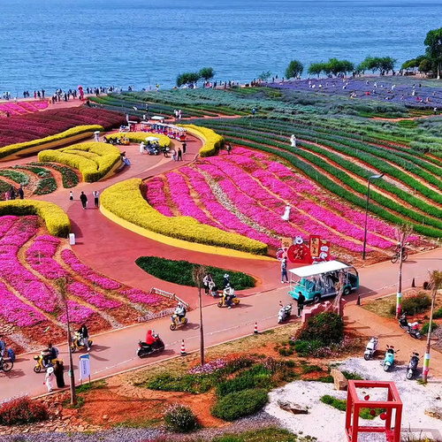 抚海湾湿地公园