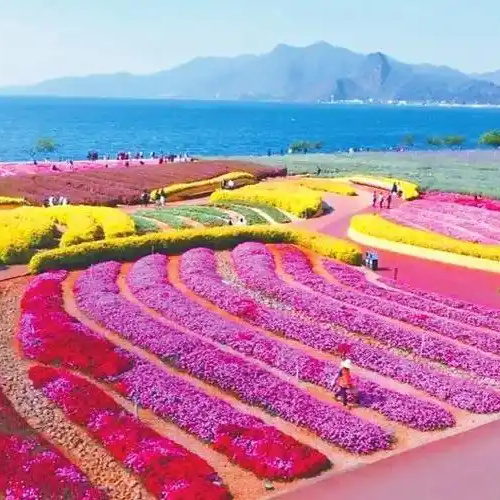 抚海湾湿地公园