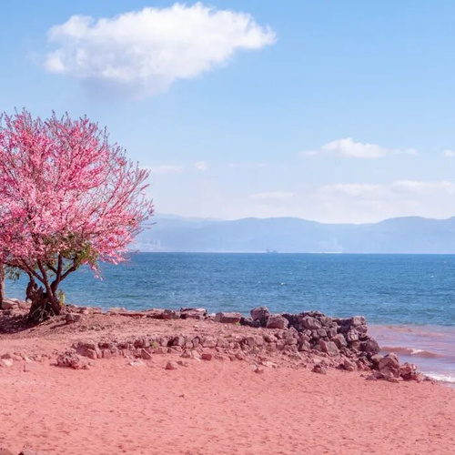 红沙滩