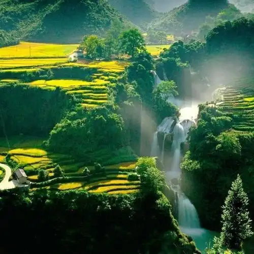 广南八宝