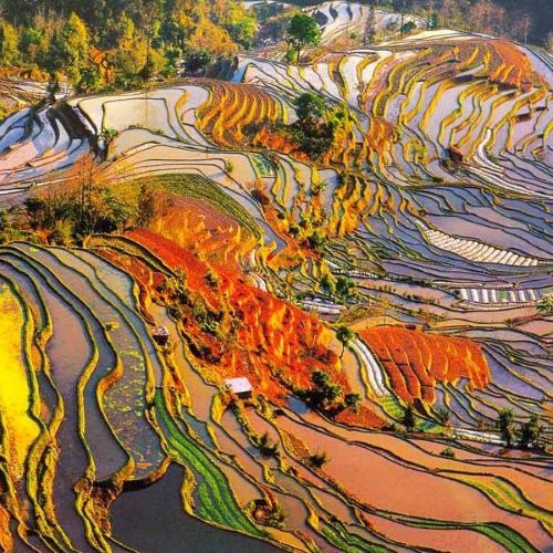 老虎嘴